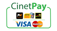 Payez par <b>OM, MOMO, Express Union, VISA, Carte de Crédit</b>, etc... via CINETPAY