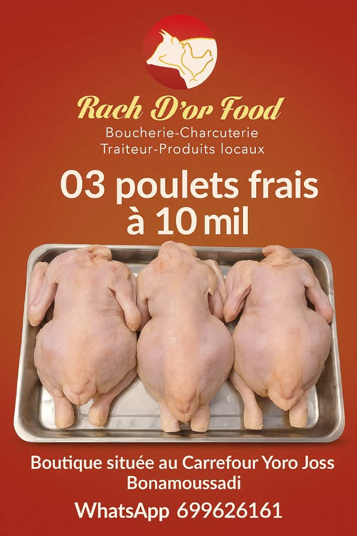 WhatsApp Image 2025-11-01 à 15.15.36_d1d42b6c