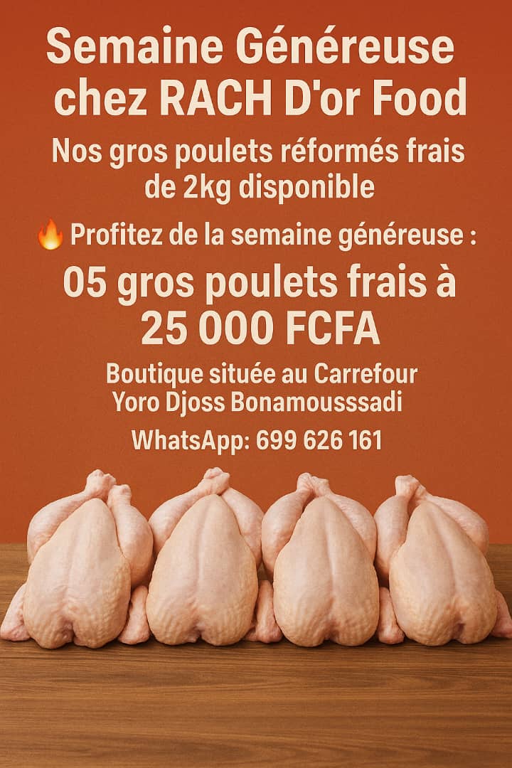 WhatsApp Image 2025-11-01 à 17.01.02_bbc3a490