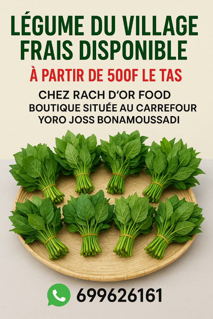 WhatsApp Image 2025-11-04 à 12.11.26_c8d0a325